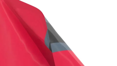 Waved flag textured by DC United american soccer team uniform colors. 3D render Stock Footage 249369858