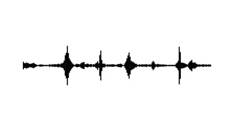 Waveform Equalizer Black Audio Waveform Spectrum Animation White Background 4 動画素材 341294047