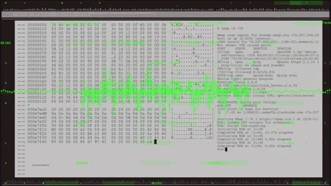 Waveform pulsing revealing terminal hex dump scrolling cursor moving parsing Stock Footage 333477471