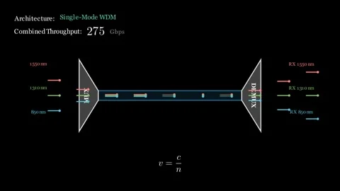 Wavelength Division Multiplexing network Stock Footage 335764610