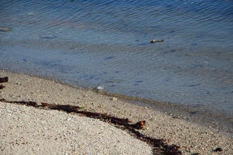 Wavelet on the beach Foto stock