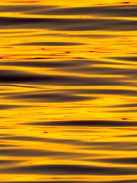 Wavelets on the surface of sunset lake Stock Photos