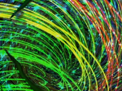 WavenHouzer Color Stock Footage 11024582