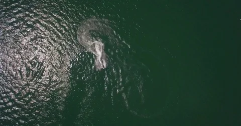 Waverunner Lake Fun Stock Footage 82273925