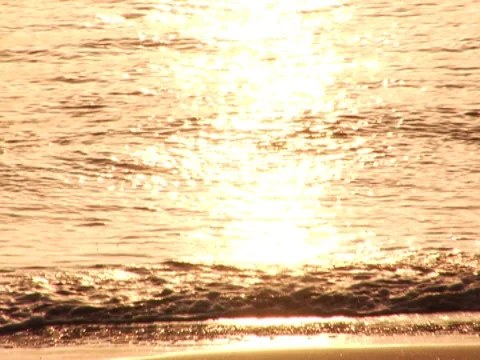 Waves 14 Stock Footage 8694450