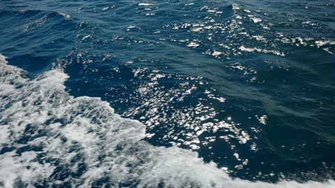 Waves in the Adriatic Sea Stock Footage 219969490