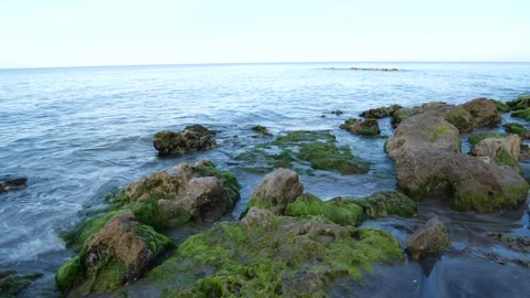 Waves against the rocks at Casperson Beach in Venice, Florida Stock Footage 155815203
