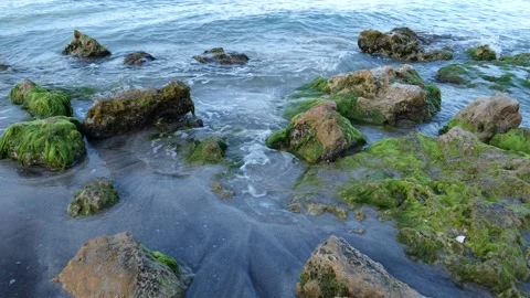 Waves against the rocks at Casperson Beach in Venice, Florida Stock Footage 155815252