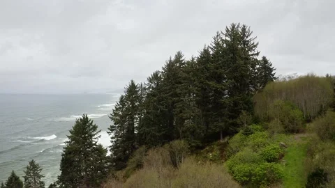 Waves along the Coast - Drone Video stock 201173930