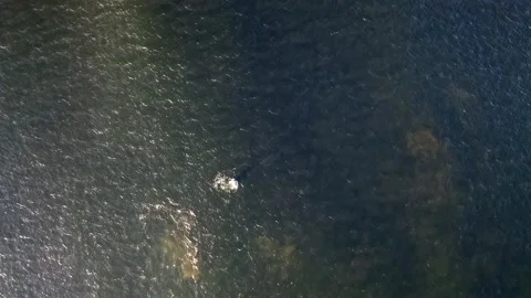 Waves along the Coast - Drone Video stock 201184920