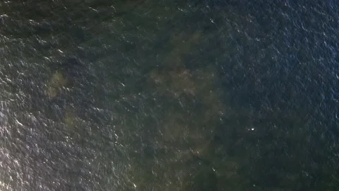 Waves along the Coast - Drone Stock Footage 201185261