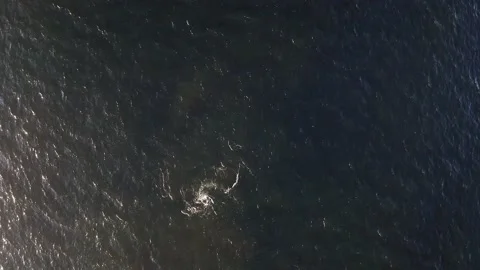 Waves along the Coast - Drone Stock Footage 201185731