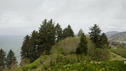 Waves along the Coast - Drone Stock Footage 201205891