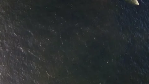 Waves along the Coast - Drone Stock Footage 201207117