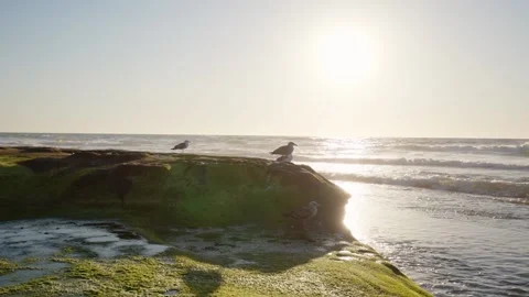 Waves along coastline Stock Footage 172564542