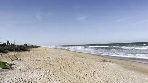 Waves along Ormond beach coastline Stock Footage 236508939