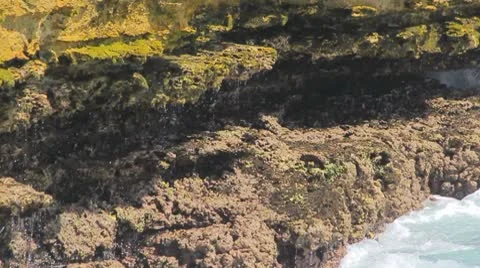 Waves and breakers at the ocean Video stock 8923609