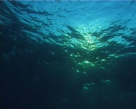 Waves and bubbles (D189) 動画素材 148239