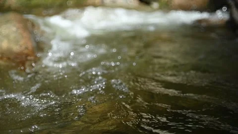 Waves and bubbles on a mountain stream and beautiful bokeh (slow motion) 스톡 동영상 219397350
