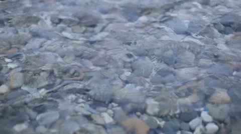 Waves and clear water. Through the water are visible stones. Rivers, lakes and Video stock 60114922