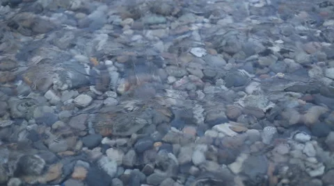 Waves and clear water. Through the water are visible stones. Rivers, lakes and Stock Footage 60114964