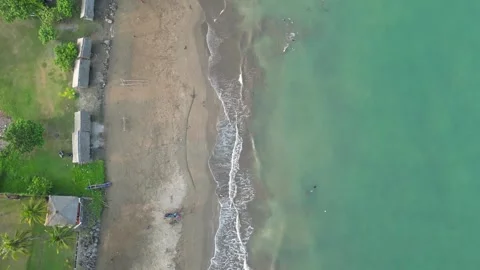Waves and coconut trees on the beach from an aerial view Video stock 253545285