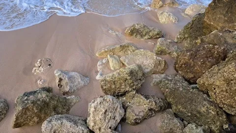 Waves and the coral Stock Footage 275176543