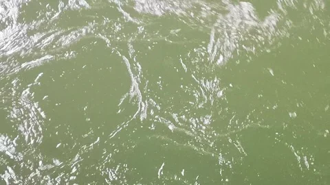 Waves and flowing of the current of a river Stock Footage 101577765