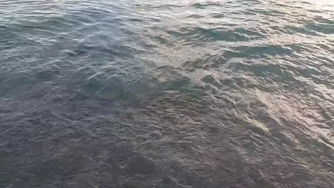 Waves and foam hitting the beach Video stock 220046397