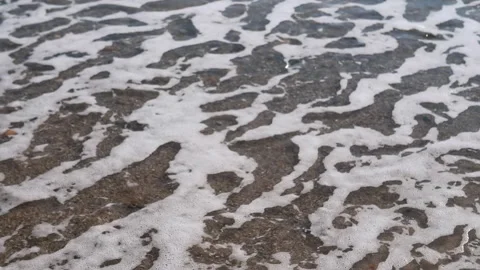 Waves and Foam on the Shoreline Captured in Stunning and Intricate Detail for Stock Footage 313869967