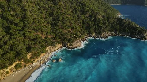 Waves and forest  Stock Footage 226945326