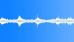 Waves and gulls Sound Effect