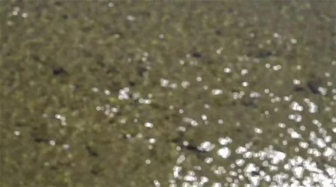 Waves and light Stock Footage 52508324