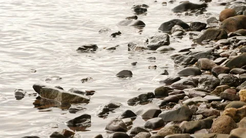 Waves and pebbles on the shoreline Stock Footage 231235039