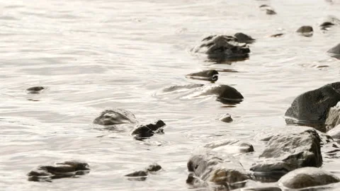 Waves and pebbles on the shoreline Stock Footage 231235945