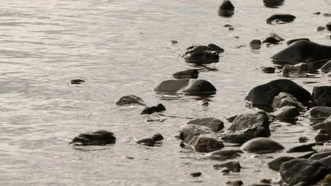 Waves and pebbles on the shoreline Stock Footage 231235986