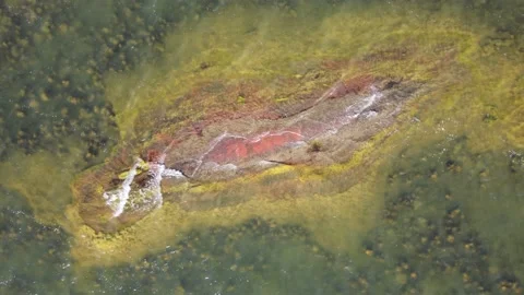 Waves and Rock Stock Footage 200808479