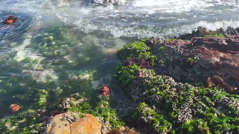 Waves and rock pool 動画素材 201838363