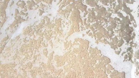 Waves and sand on the seashore Stock Footage