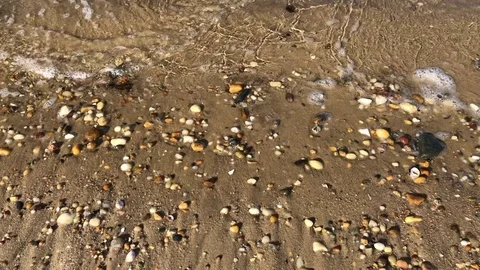 The waves and the sea Stock Footage 83058495