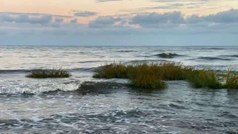Waves and Sea Grass at Sunset Stock Footage 256909291