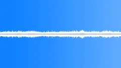 Waves and Seagulls at Baltic Sea. Sound Effect