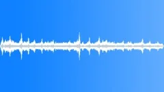 Waves and seagulls stereoSound Effect
