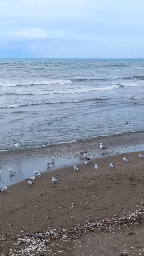 Waves and seaside view in winter, beach with waves 154040~2 Stock Footage 304372190