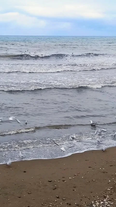 Waves and seaside view in winter, beach with waves Stock Footage 304372196