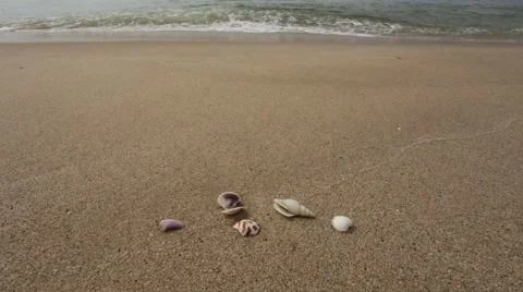 Waves and shells Stock Footage 55756505