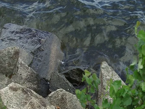 Waves and stones Stock Footage 91827175