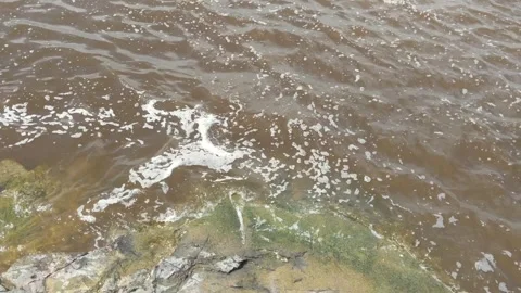 Waves and strong winds Stock Footage 262959425
