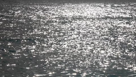Waves and sun, coastline during sunset Stock Footage 301818235