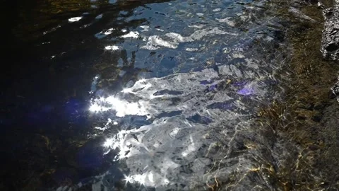 Waves and sunlight effects on a mountain stream (slow motion) 스톡 동영상 219649548